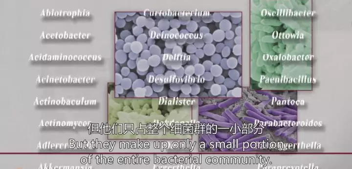 1511405103687037kavJ.jpg 5.jpg