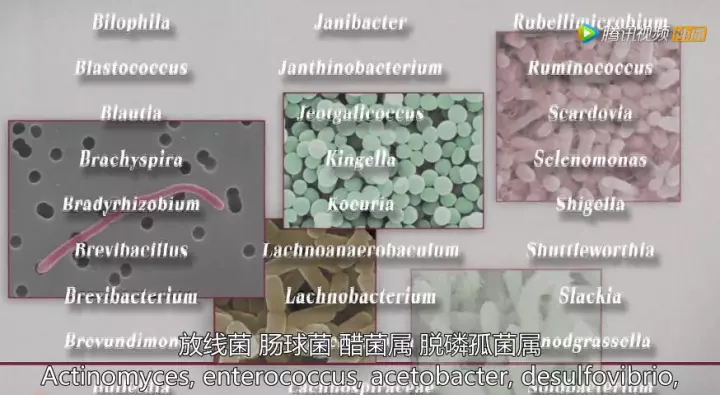 1511405116875027EbNw.jpg 6.jpg