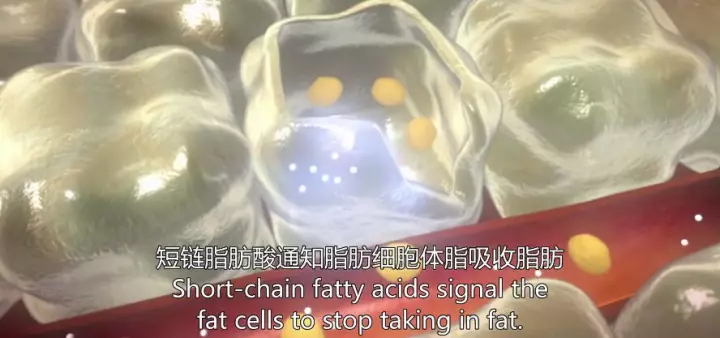 1511405179396583sXn8.jpg 8.jpg