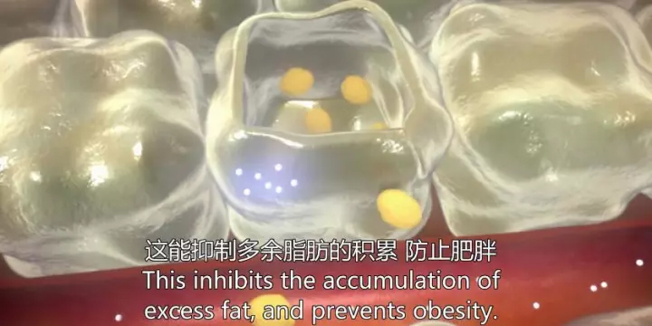 1511405199659437qhCc.jpg 9.jpg