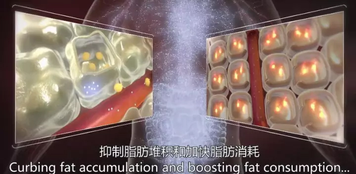 1511405215353863hp8n.jpg 10.jpg