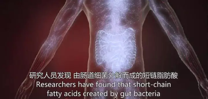 15114053574261021fAe.jpg 16.jpg