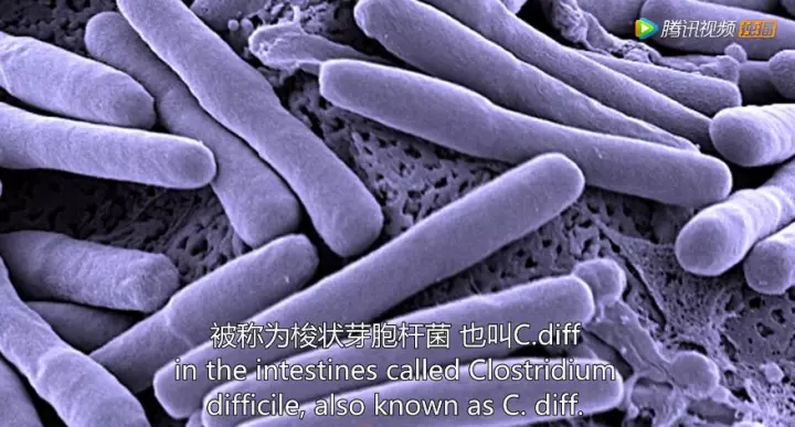 1511405476582210H5L0.jpg 22.jpg