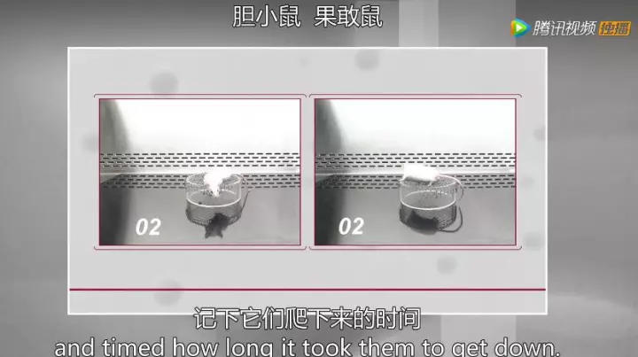 1511405581454306s5K9.jpg 26.jpg