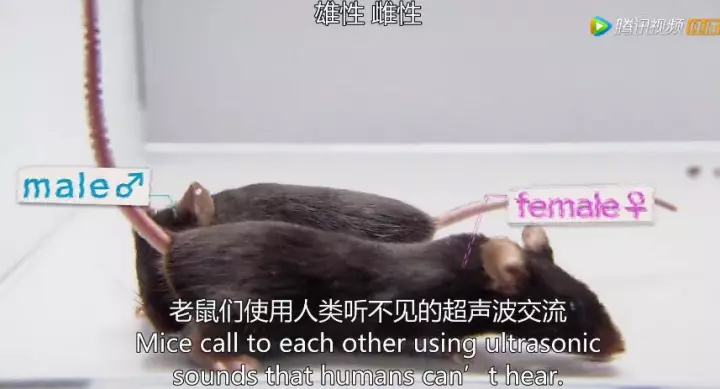 1511405597663005RYoK.jpg 27.jpg