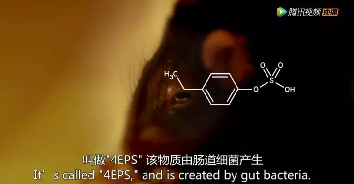 1511405622386744fk3J.jpg 28.jpg