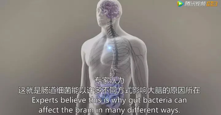 15114056624166826DwZ.jpg 30.jpg