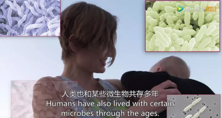 1511405727266531DDCe.jpg 32.jpg