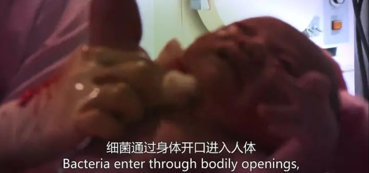 1511405800419254t4Nl.jpg 35.jpg