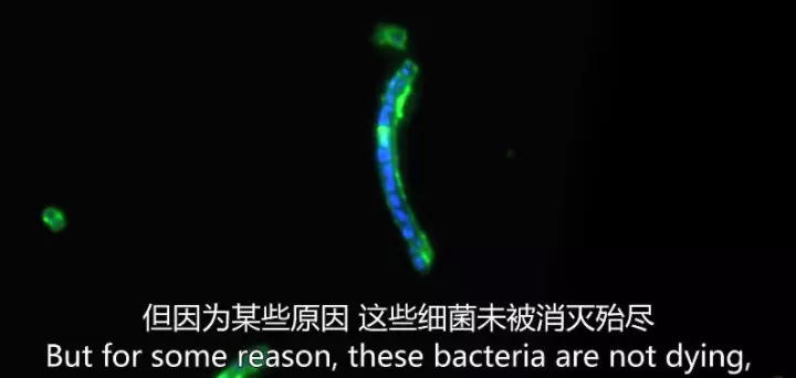 1511405839300198tqZZ.jpg 38.jpg