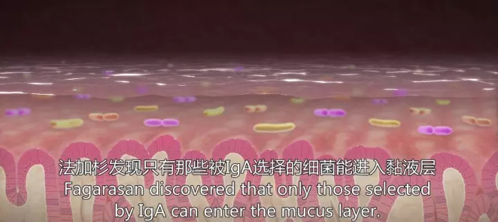 1511405876810821YYZJ.jpg 40.jpg