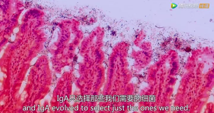 1511405893837398vuuB.jpg 41.jpg