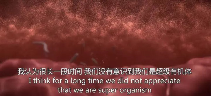 1511405908535263z3Cv.jpg 42.jpg