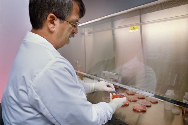 1513218742247802lO0i.jpg 5.jpg