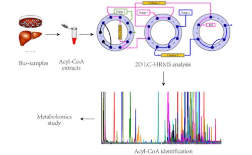 1513822314188282VpnN.jpg 2.jpg