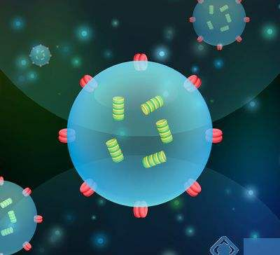 1514426633692924AqxU.png 2.png