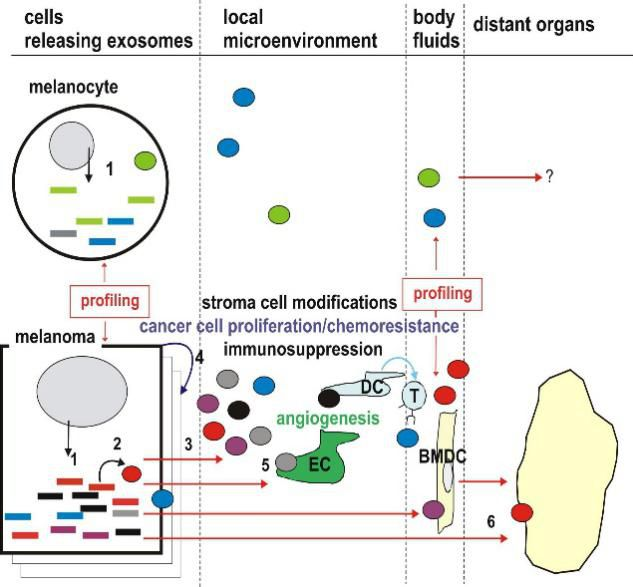 1514426664166098bItR.png 3.png