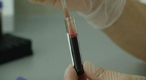 1514428105243524WCVP.png 3.png