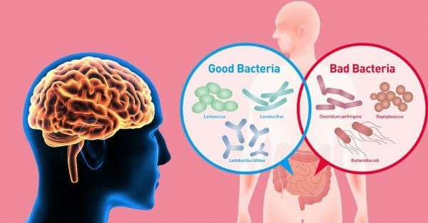 1515044380981633j52i.png 2.png