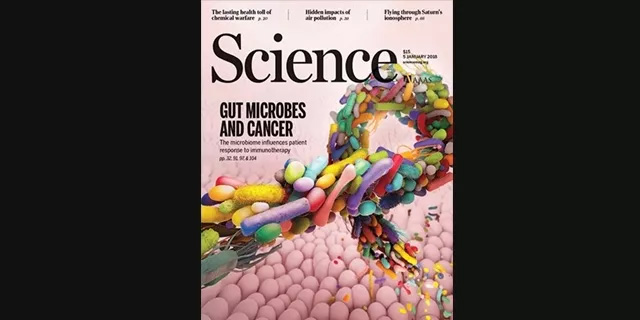 1515637314121627xZfG.jpg 3.jpg