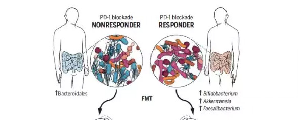 1515637346339793zJxc.jpg 4.jpg