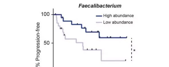 1515637462253988HDSf.jpg 6.jpg