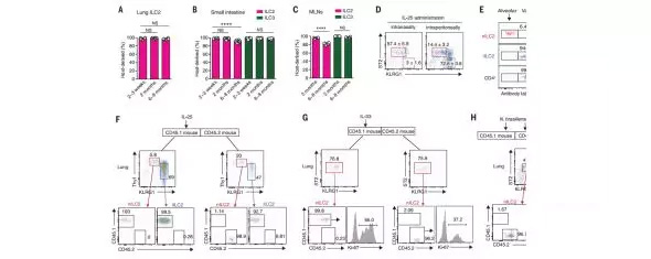 1515653328621363TmKh.jpg 8.jpg