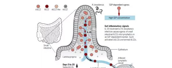 1515653347971124M0CQ.jpg 9.jpg