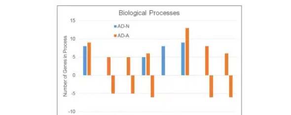1515653364989810AM66.jpg 10.jpg
