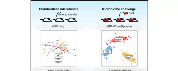 1515653381515047ireV.jpg 11.jpg