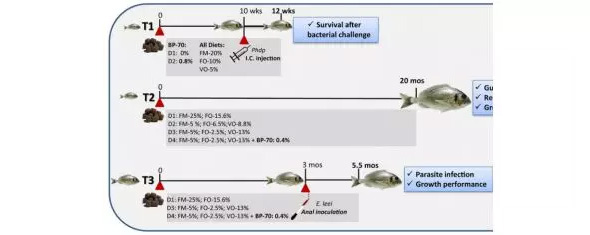 1515653399946583mdn9.jpg 12.jpg