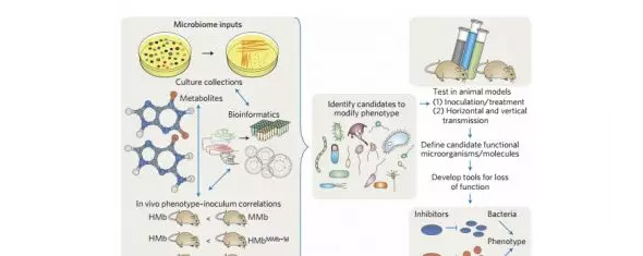 1515653414146065mjDD.jpg 13.jpg