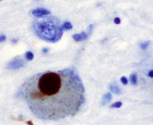 1515655232114652IOfJ.jpg 1.jpg