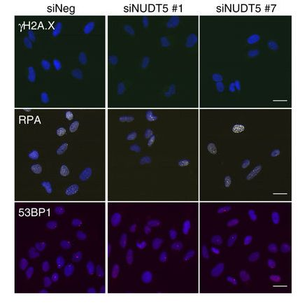 15168469382178076aAA.png 3.png