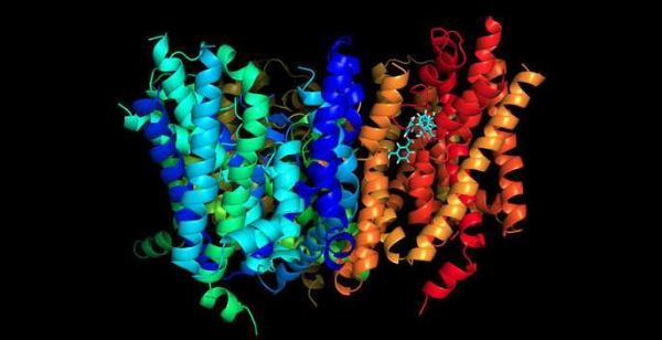 151684736272580442en.png 1.png