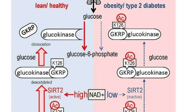 1517452173322376clvq.png 1.png