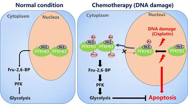 1519888185235729DKBv.png 13.png