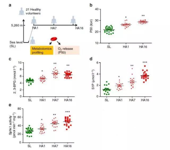 152056051219554970Yz.jpg 14.jpg