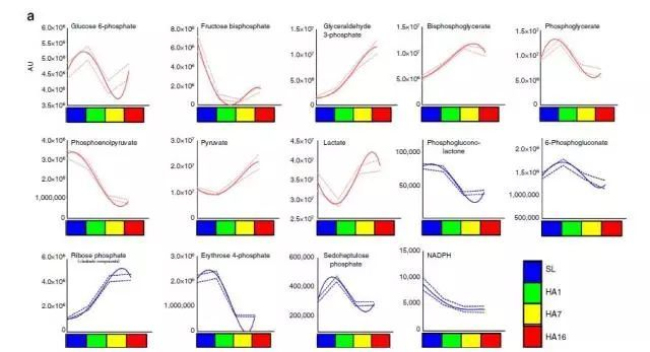 15205605228266169VSG.jpg 15.jpg