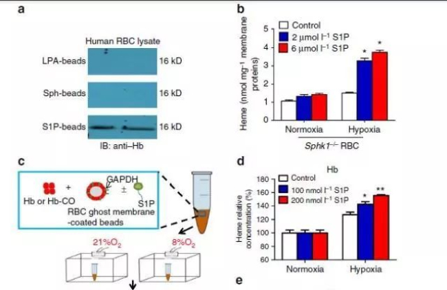 152056061432126002se.jpg 112.jpg