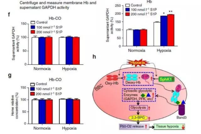 1520560623543312nzHw.jpg 11.jpg