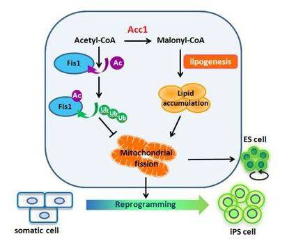 1521091516555978d9ea.png 5-6.png