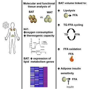 1521091565290805Pe1T.png 7.png