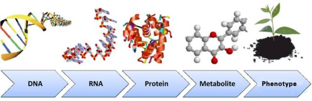 1521091718991518vUNR.png 1.png