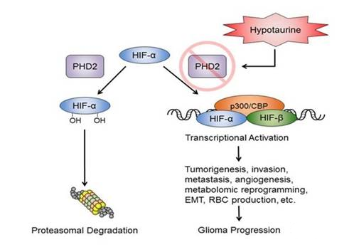 1521091742910175f76i.png 2.png