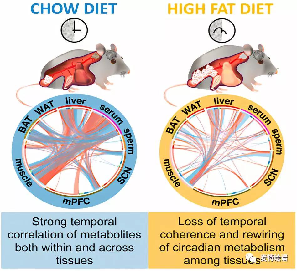 1539742849400593DQxt.jpg 3.jpg