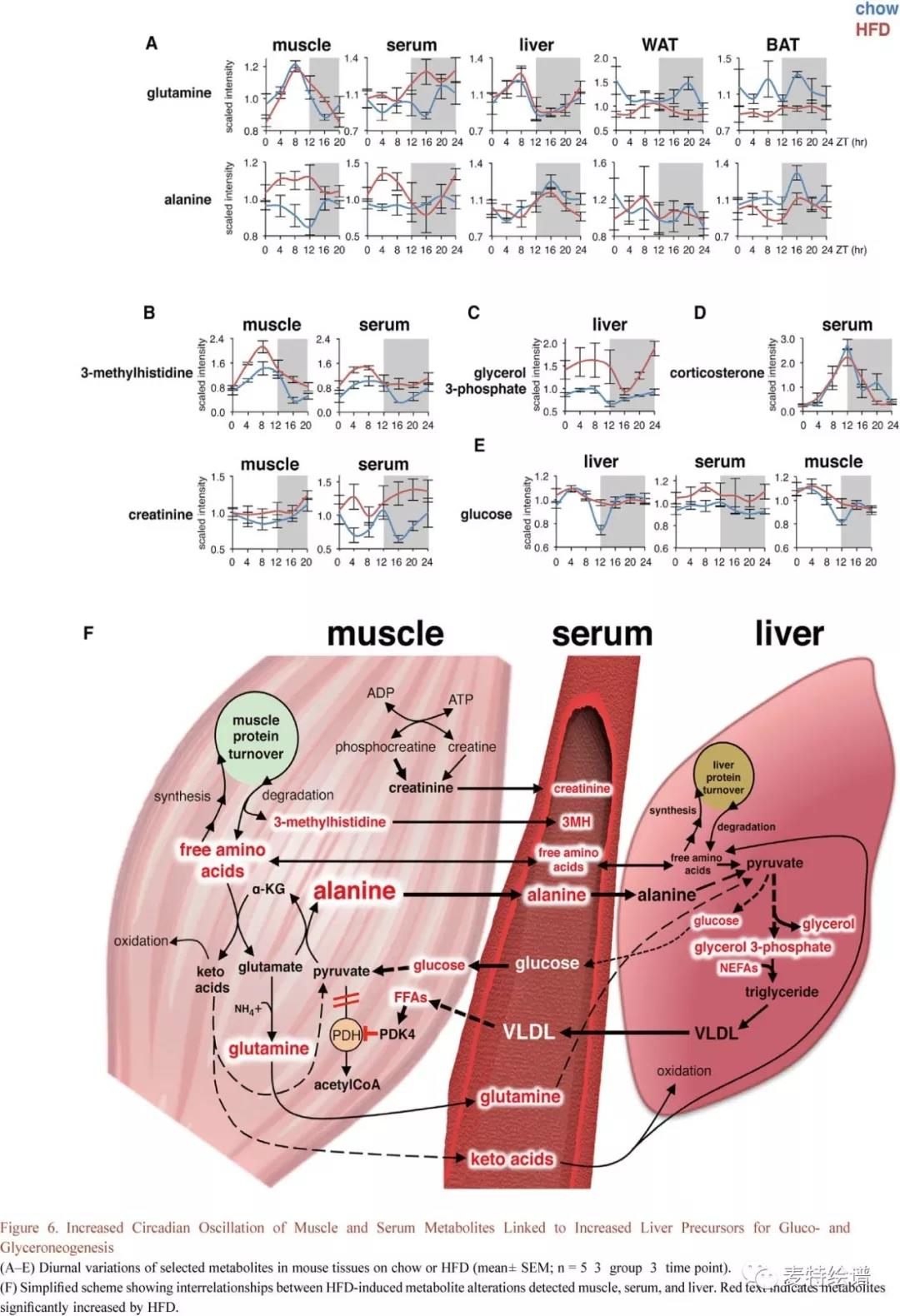 1539743024692897FaI2.jpg 9.jpg