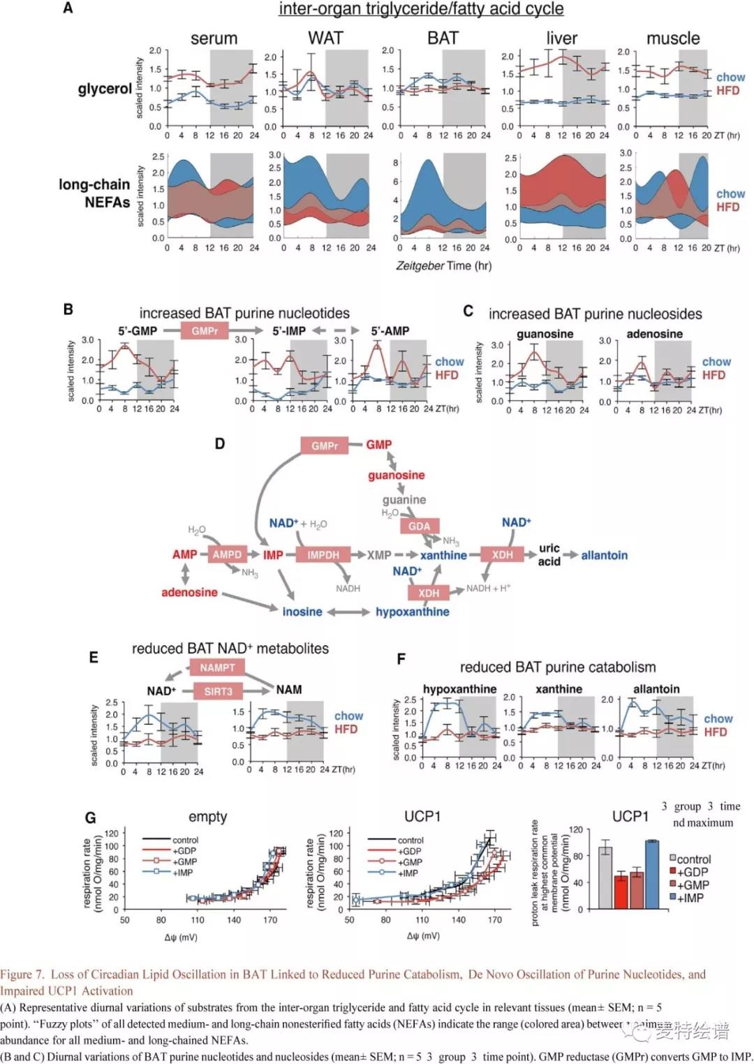 1539743054587409qz6M.jpg 10.jpg