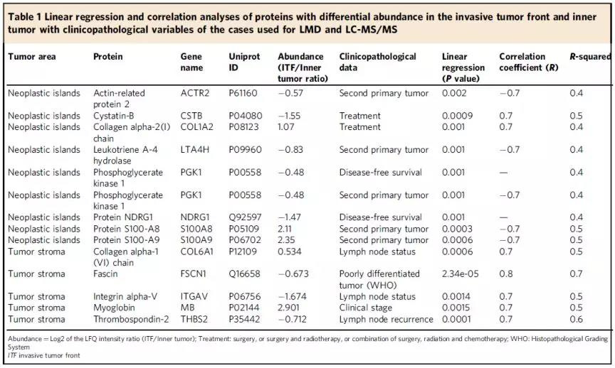 1554256083159227KN1x.jpg 3.jpg