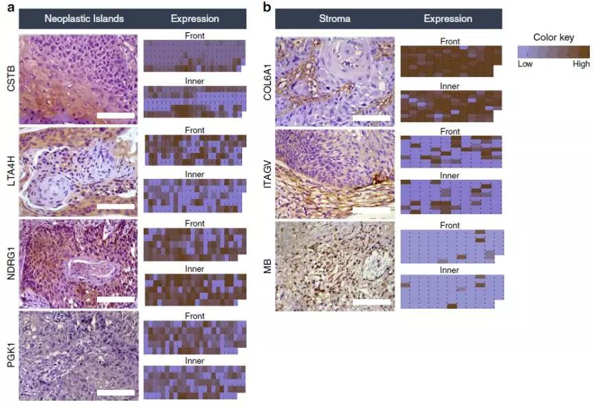 1554256091826974sIFk.jpg 4.jpg